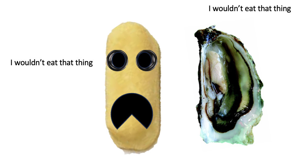 Raw Oysters. Yick. And Possibly Dangerous. American Council on